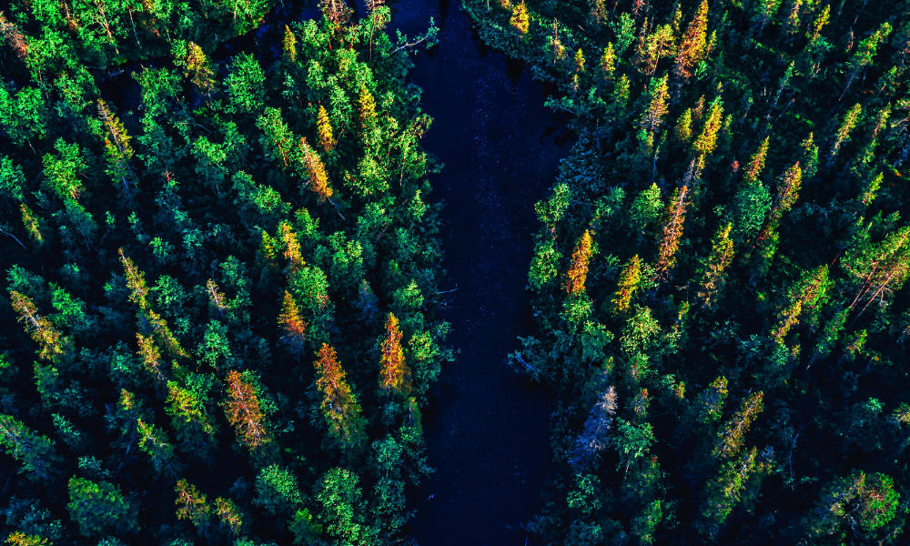 Carbon Sequestration - Agriculture